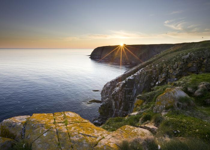 coastline of newfoundland