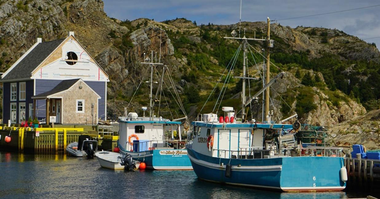 brigus image with ships in port